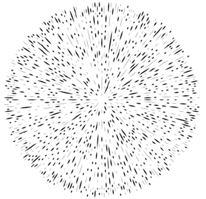 IMAGE2