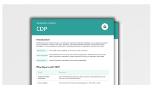 Reporting Factsheet | CDP